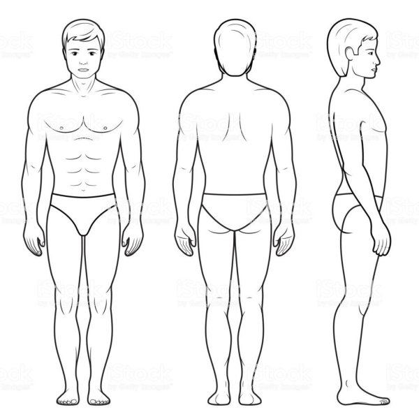 Схема человека спереди и сзади