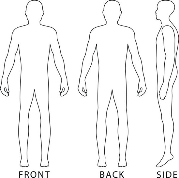 Контур мужского и женского тела