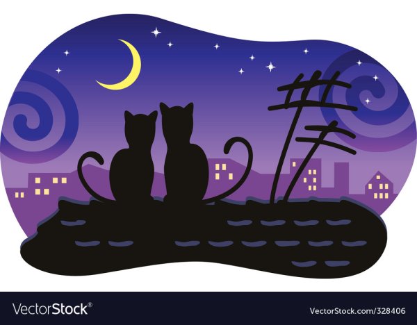 Коты на крыше силуэт