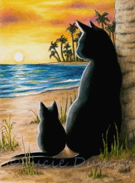 Кот и море арт