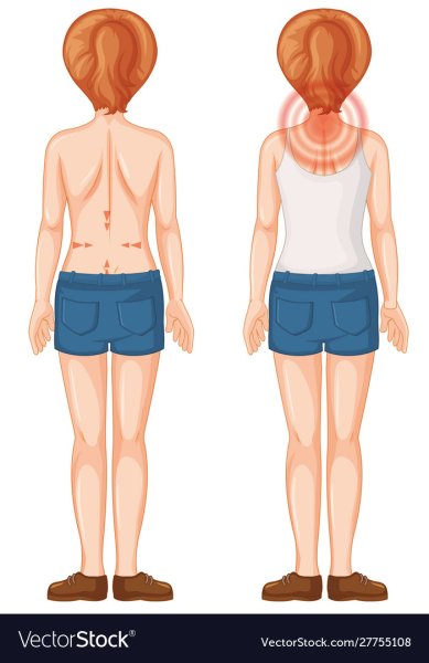 Тело человека со спины