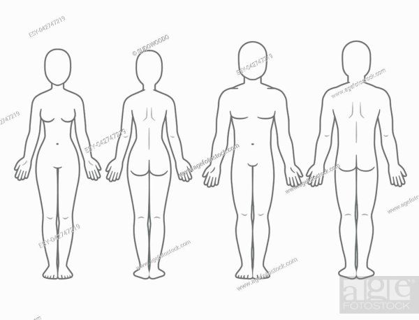 Тело схематично