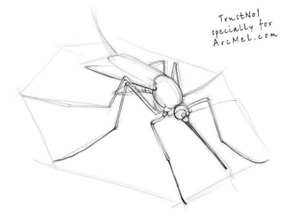 Комар раскраска