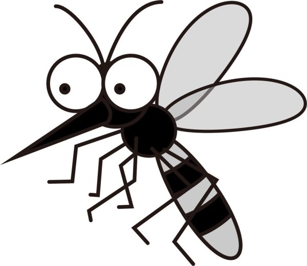 Комар рисунок