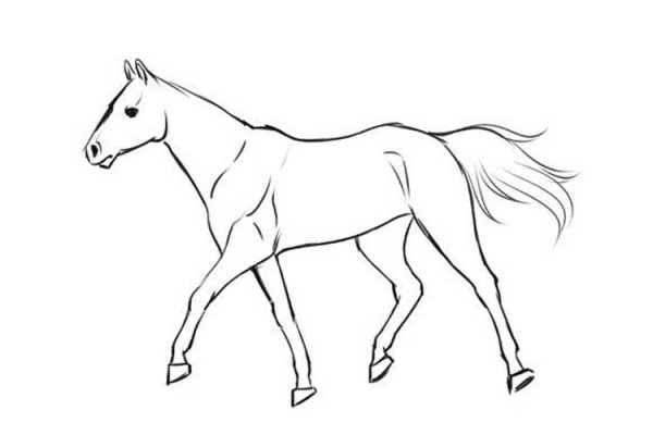 Нарисовать рисунок коня