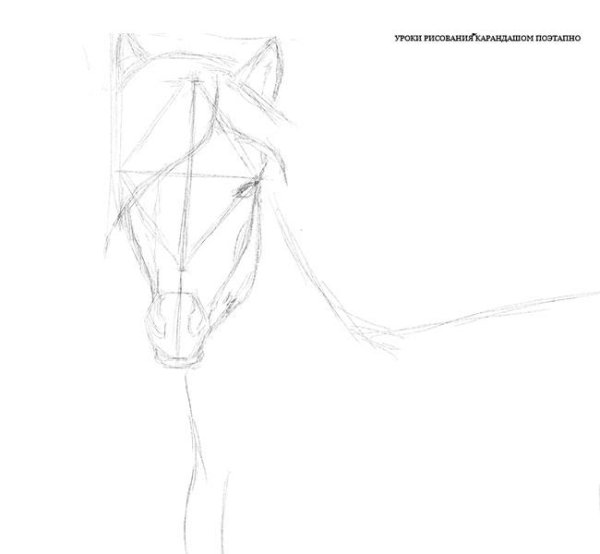Лошадь рисунок поэтапно