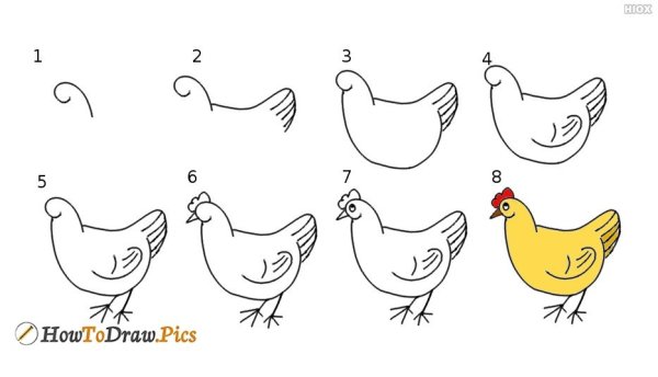Нарисовать курицу поэтапно