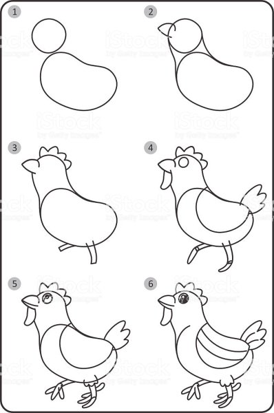 Как нарисовать курицу