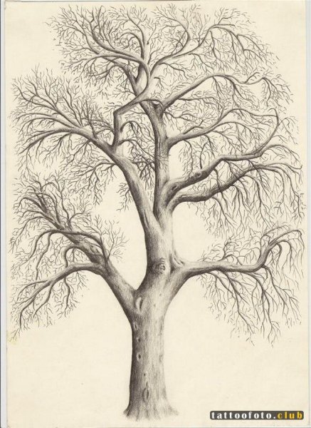 Дерево карандашом