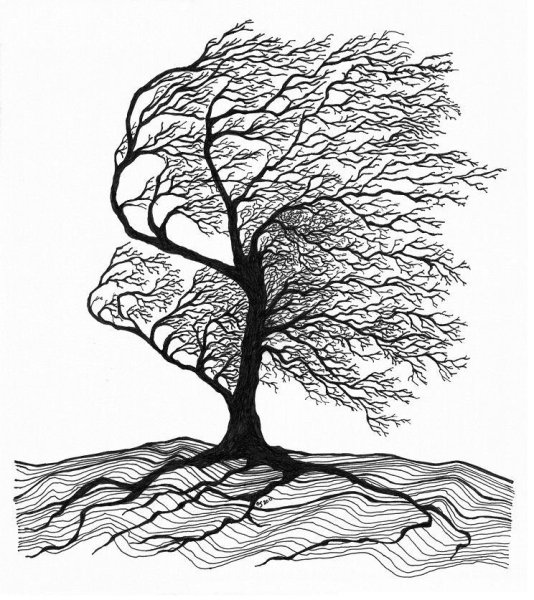 Дерево Графика