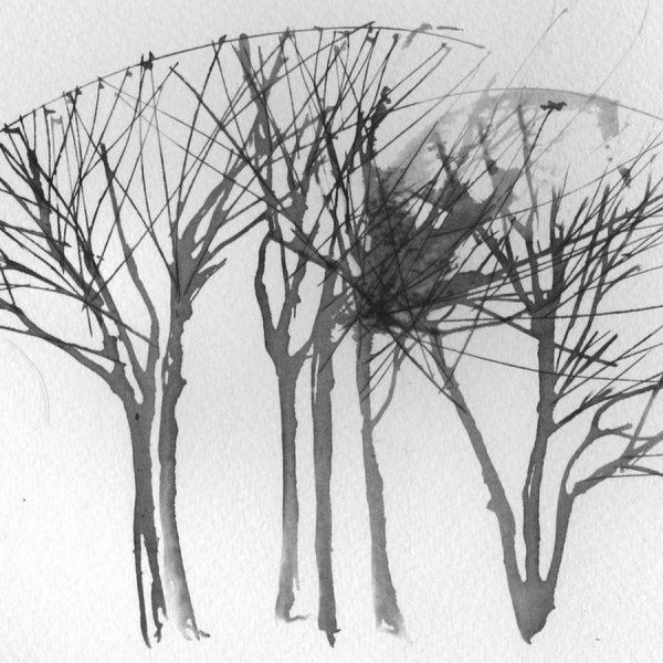 Зарисовки деревьев ручкой