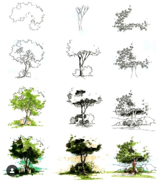 Дерево скетч