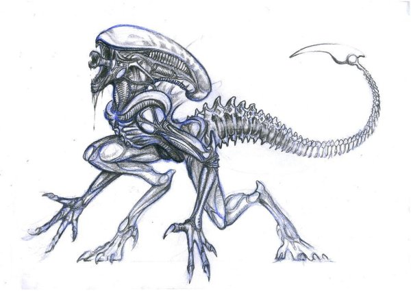 Ксеноморф референс