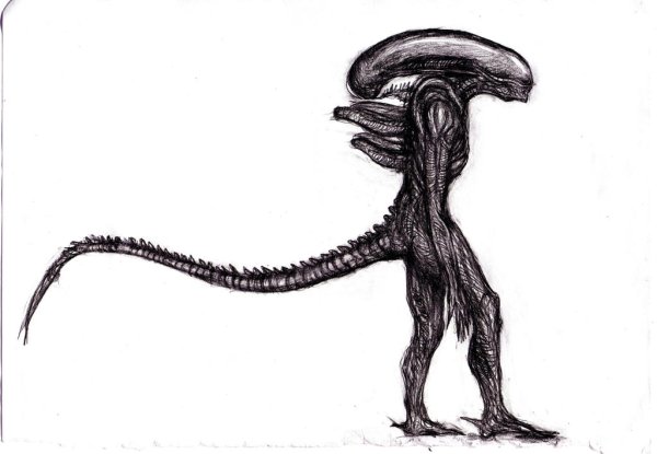 Чужой рисунок карандашом