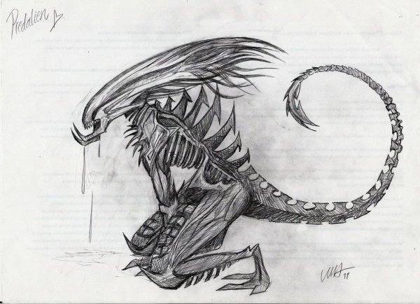 Чужой рисунок карандашом для срисовки