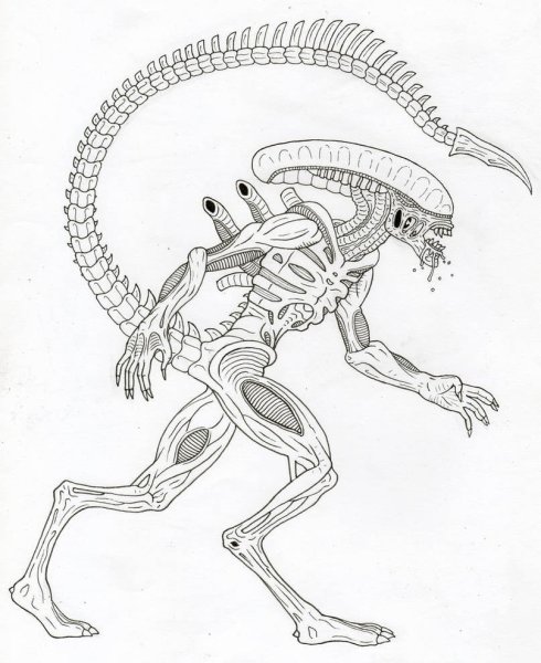 Чужой карандашом