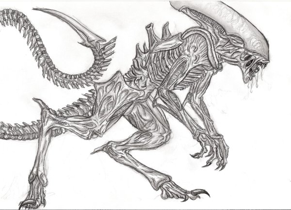 Чужой чертеж