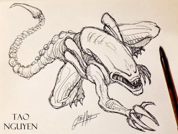 Чужой карандашом