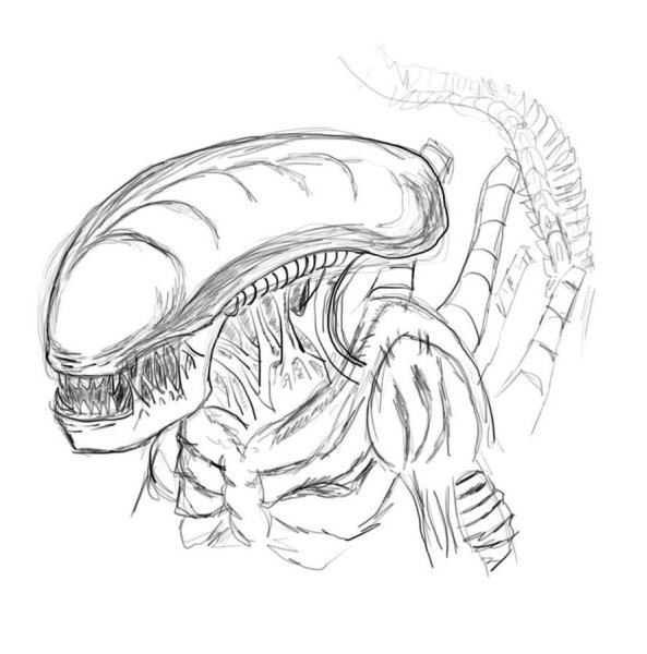 Чужой карандашом