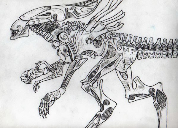 Королева чужих раскраска