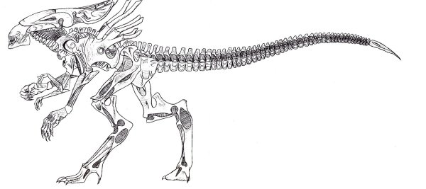 Раскраска чужой