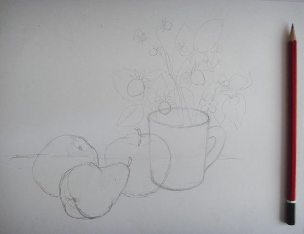 Натюрморт карандашом для срисовки