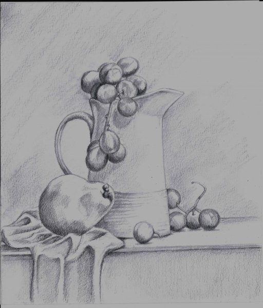 Натюрморт карандашом