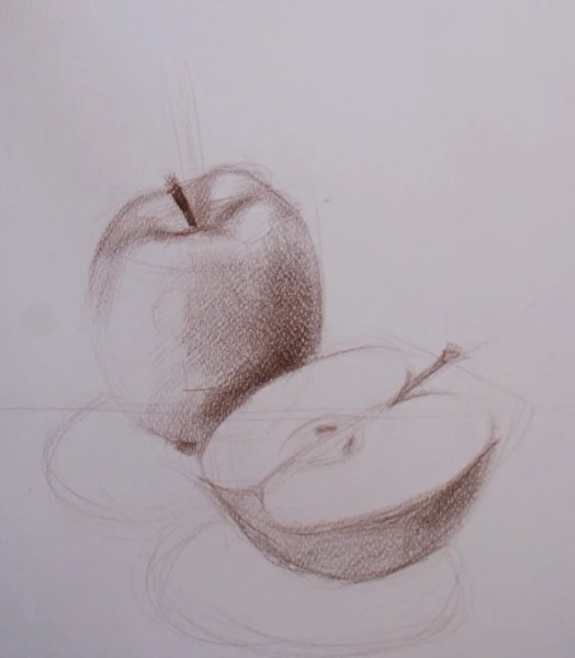 Натюрморт карандашом для начинающих