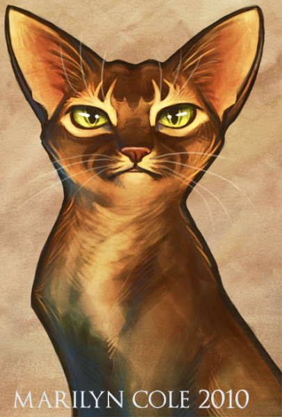 Абиссинская кошка арт