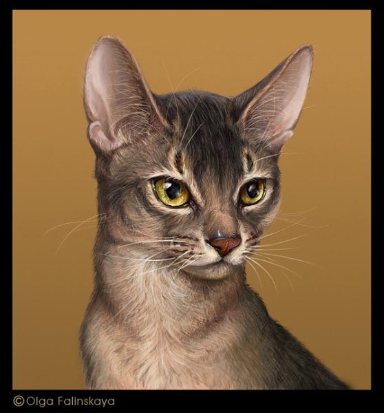 Абиссинец мультяшный