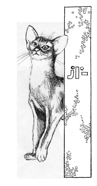 Кот абиссинец раскраска