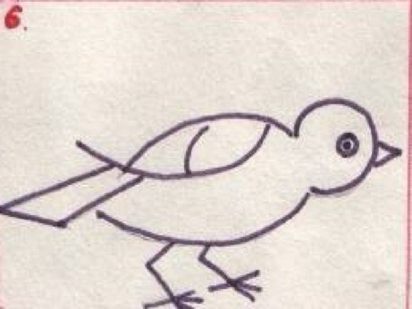 Скворец поэтапное рисование для детей