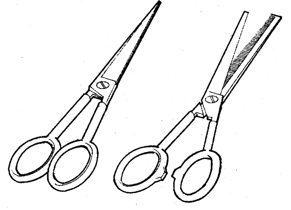 Как нарисовать ножницы поэтапно