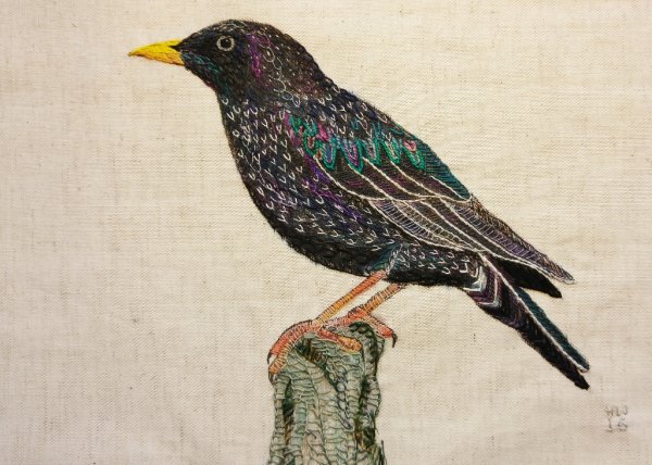 Скворец для детей