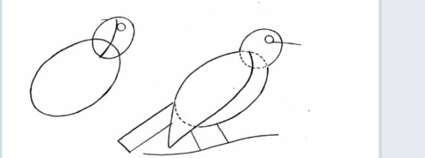 Поэтапное рисование скворца