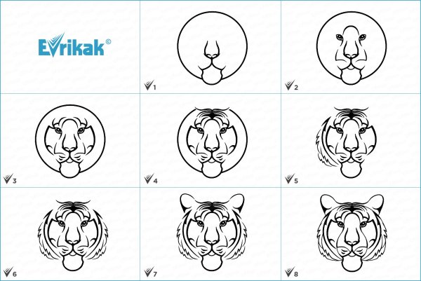 Тигренок рисунок поэтапно