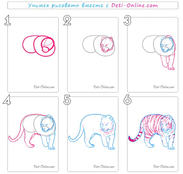 Морда тигра рисунок карандашом поэтапно