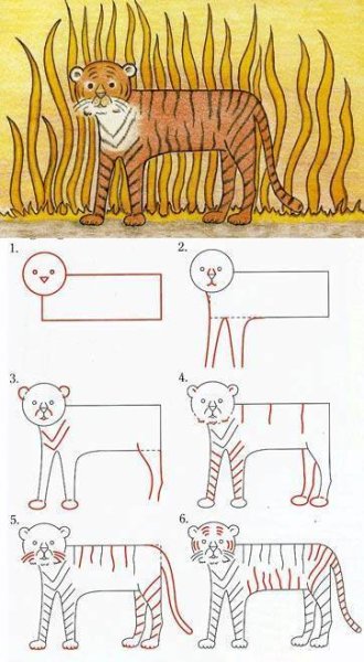 Как нарисовать тигра пошагово