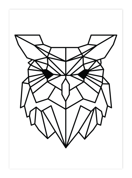 Геометрия животные мышь