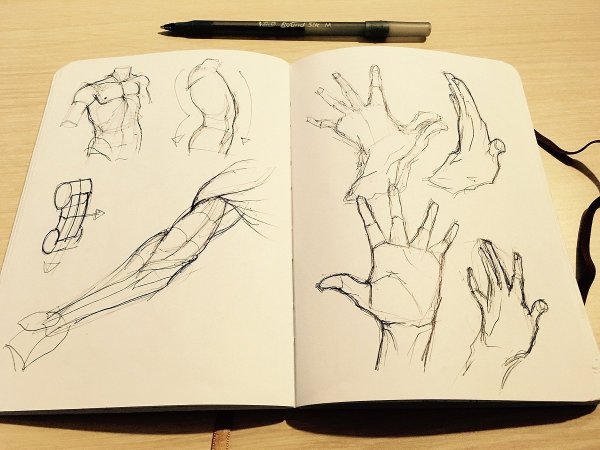 Лёгкие рисунки дня скетч бука