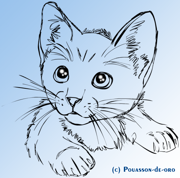 Лёгкий рисунок котёнка для срисовки