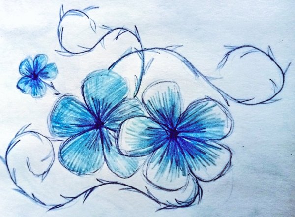 Поэтапное рисование цветы