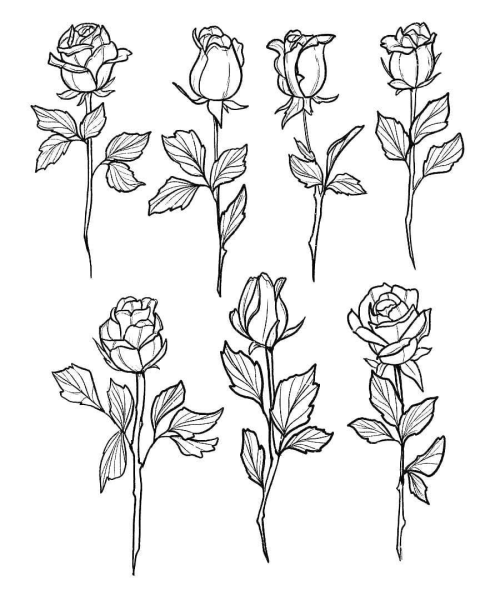 Цветы рисунок