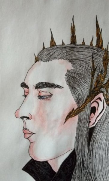 Лесной царь 6 класс