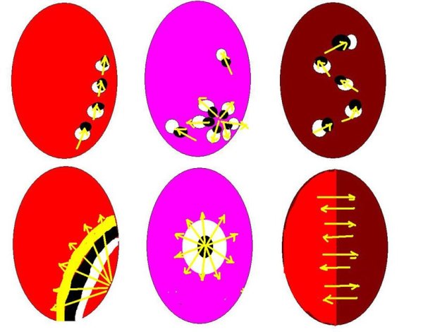 Узоры на ногтях иголкой