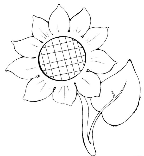 Трафарет подсолнуха для рисования