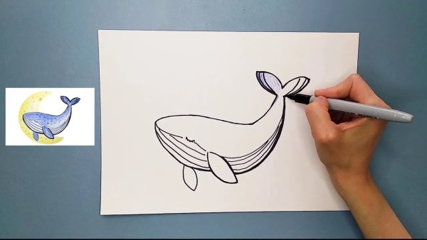 Рисунки для срисовки фломастерами