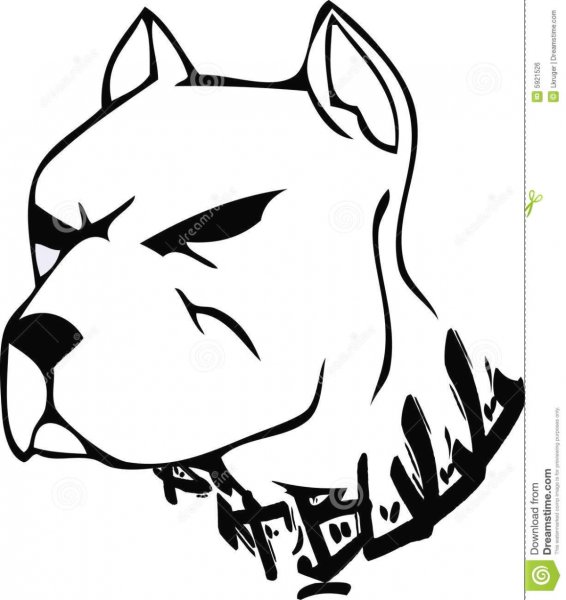 Для срисовывания питбуль