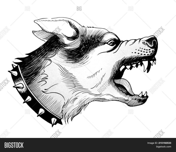 Злая собака контур