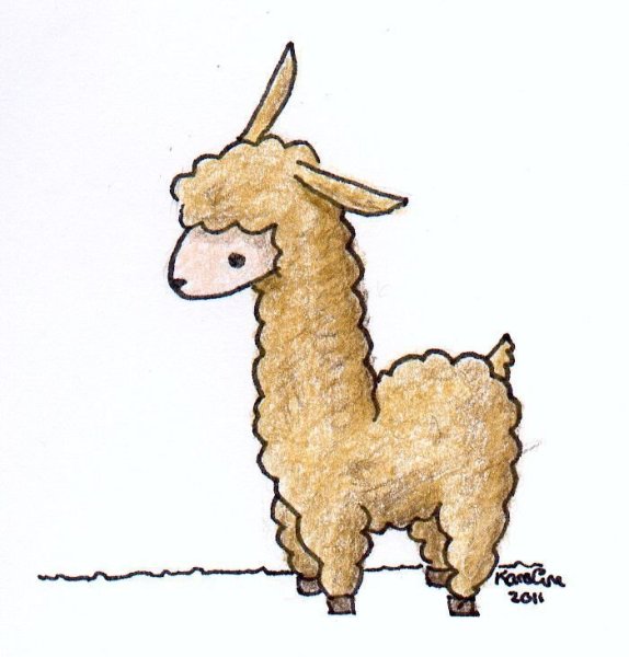 Лама трафарет